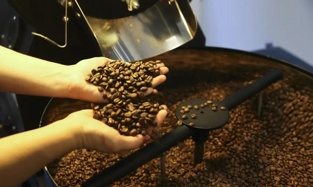 Conab projeta safra recorde de café no Brasil em 2026