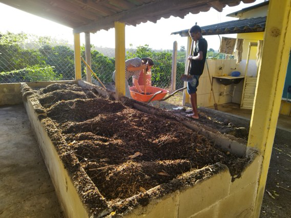 Escola de Jaguaré amplia projeto de compostagem com novo minhocário