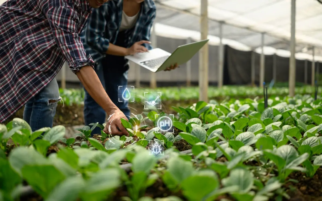 Espírito Santo amplia projetos para levar inovação ao agronegócio